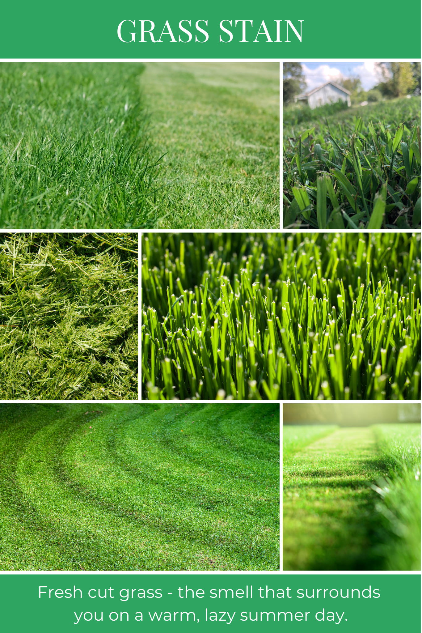 Eco Candle Company - 6oz eco candle GRASS STAIN