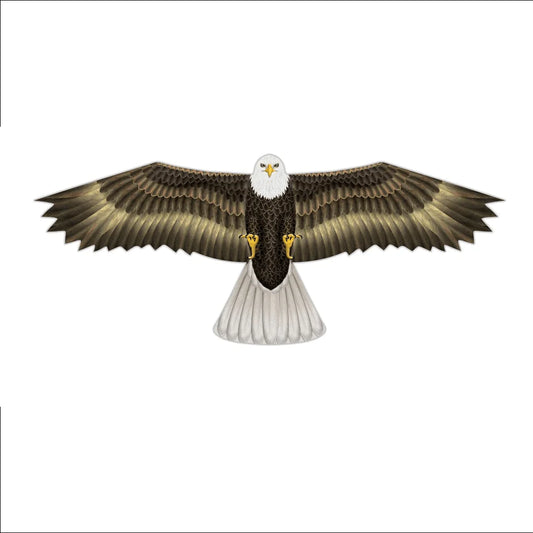 In the Breeze Birds of Prey Kites