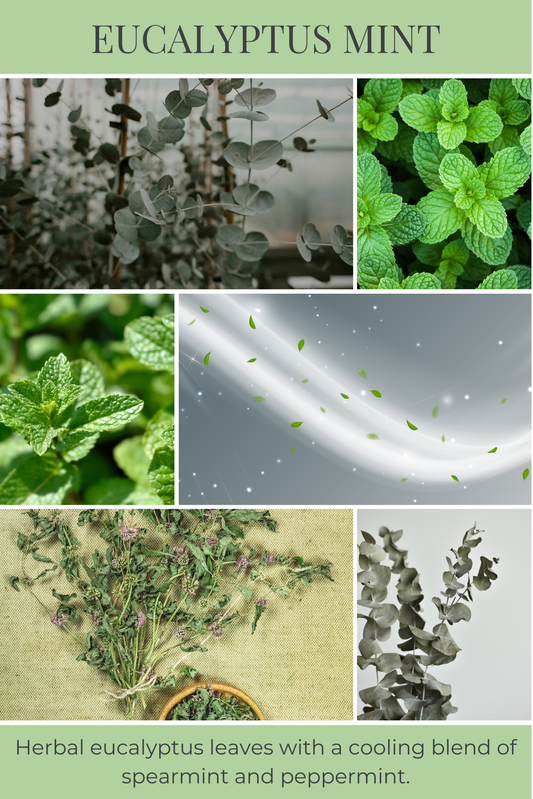 Eco Candle Company - 6oz eco candle EUCALYPTUS MINT