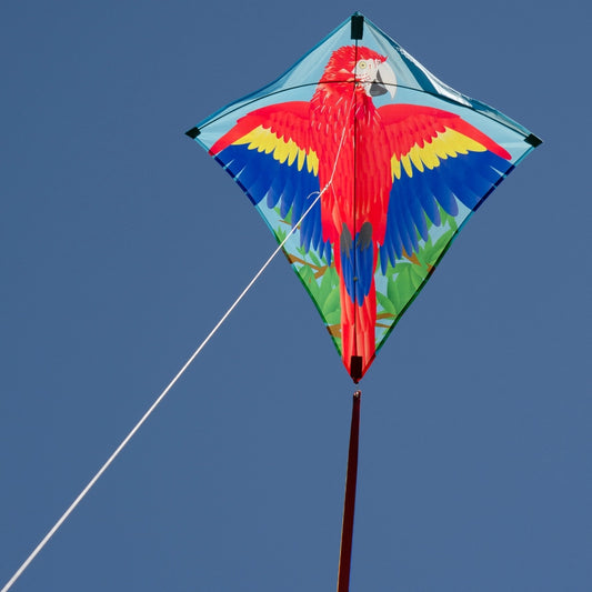 In the Breeze Parrot 30" Diamond Kite