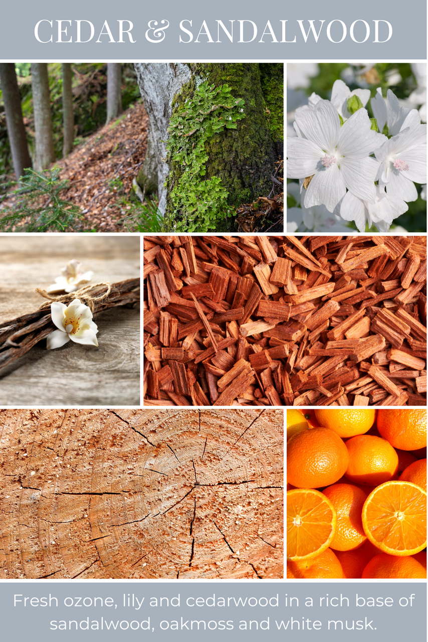 Eco Candle Company - 6oz eco candle CEDAR & SANDALWOOD *NEW!