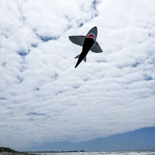 In the Breeze 5' 3D Black Shark