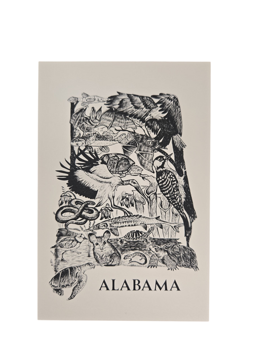 Endangered Species Postcard