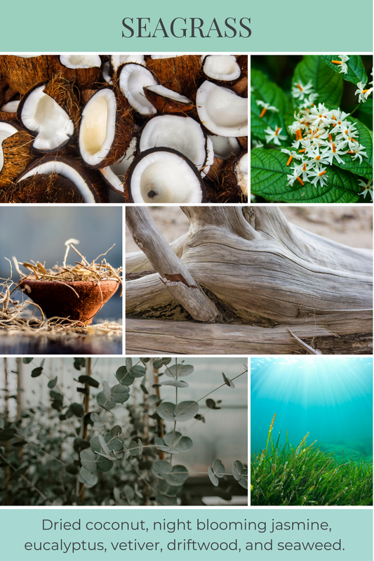 Eco Candle Company - 6oz eco candle SEAGRASS