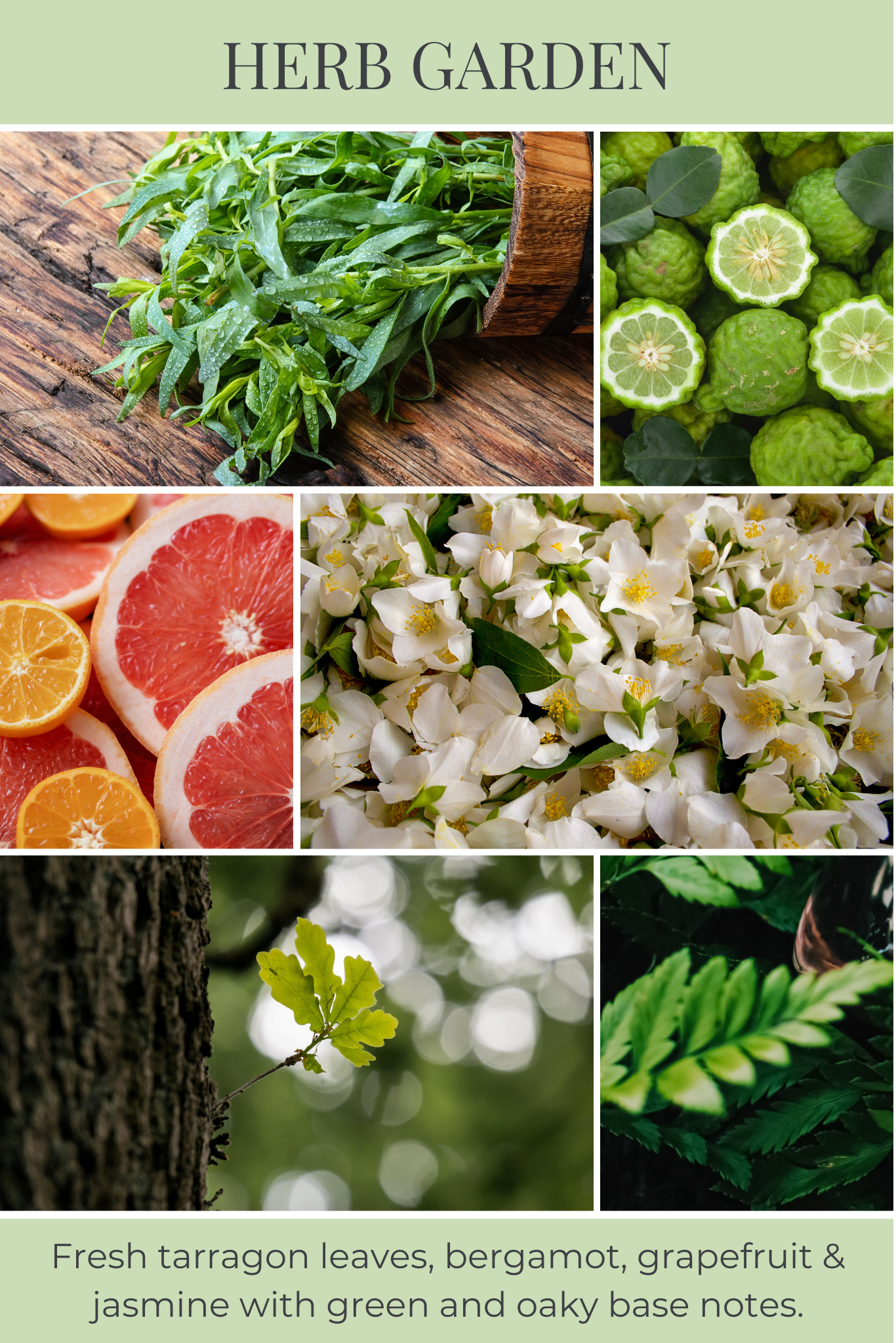 Eco Candle Company - 6oz eco candle HERB GARDEN