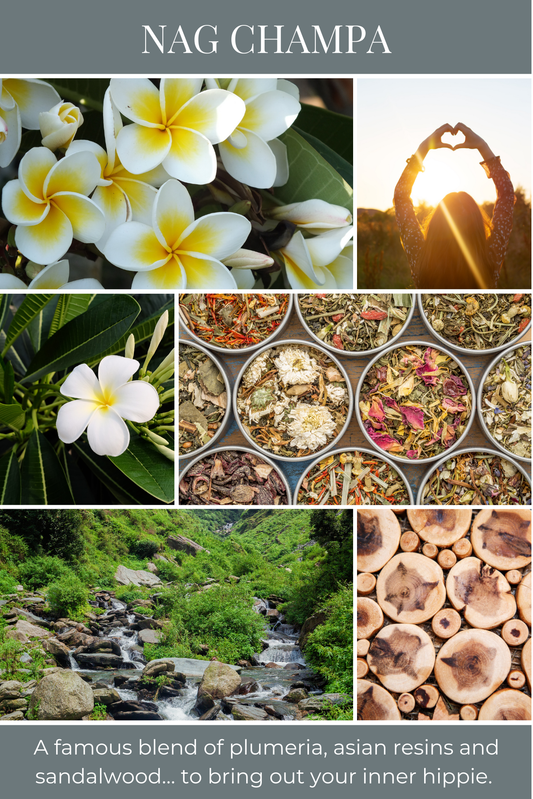 Eco Candle Company - 6oz eco candle NAG CHAMPA