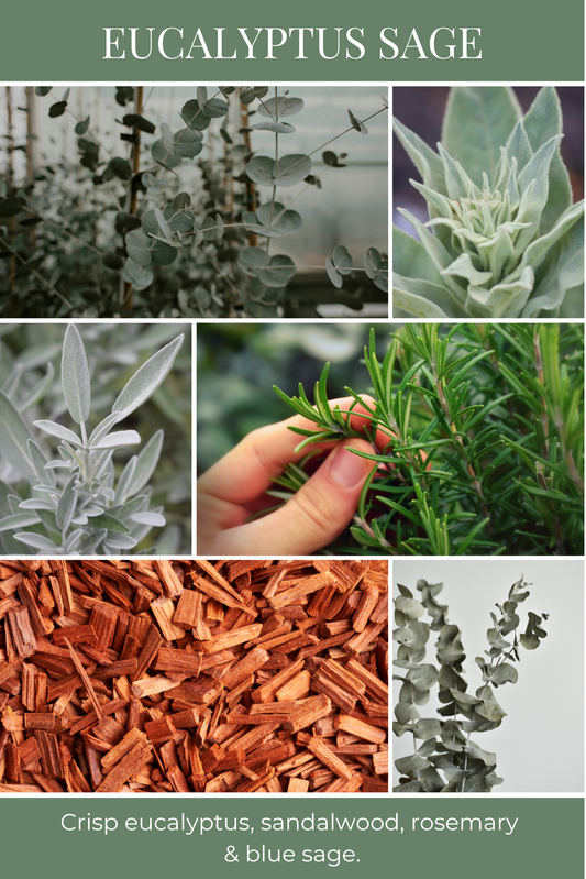 Eco Candle Company - 6oz eco candle EUCALYPTUS SAGE