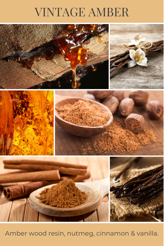 Eco Candle Company - 6oz eco candle VINTAGE AMBER