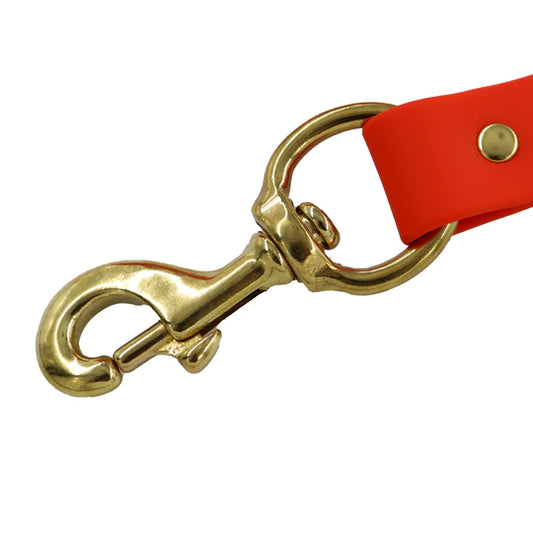 Local Boy Outfitters Biothane Dog Leash