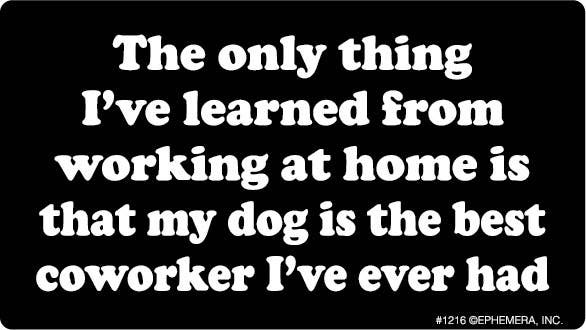 Ephemera - Sticker-Dog is the Best Coworker