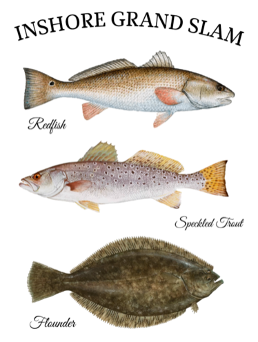 Inshore Grand Slam Sticker