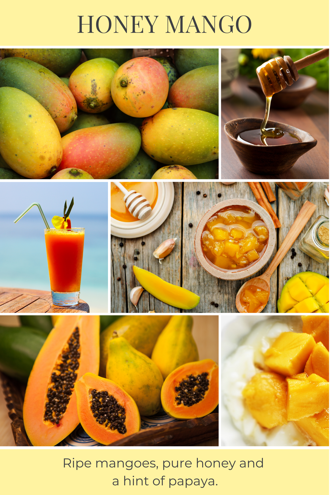 Eco Candle Company - 6oz eco candle HONEY MANGO