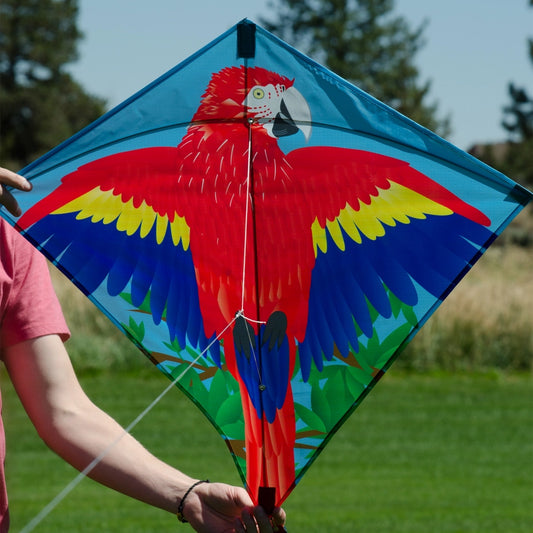 In the Breeze Parrot 30" Diamond Kite