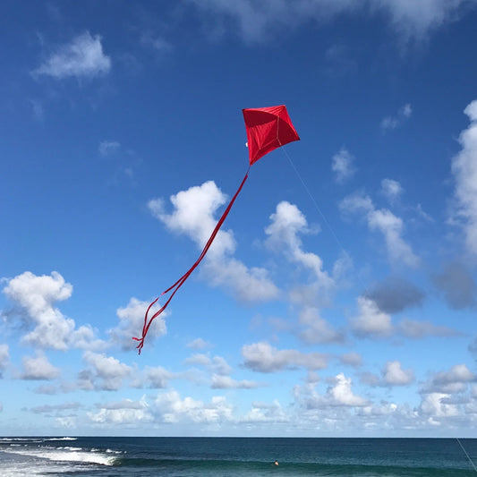 In the Breeze Red Colorfly 30" Diamond Kite