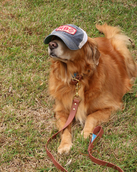 Local Boy Outfitters Biothane Dog Collar