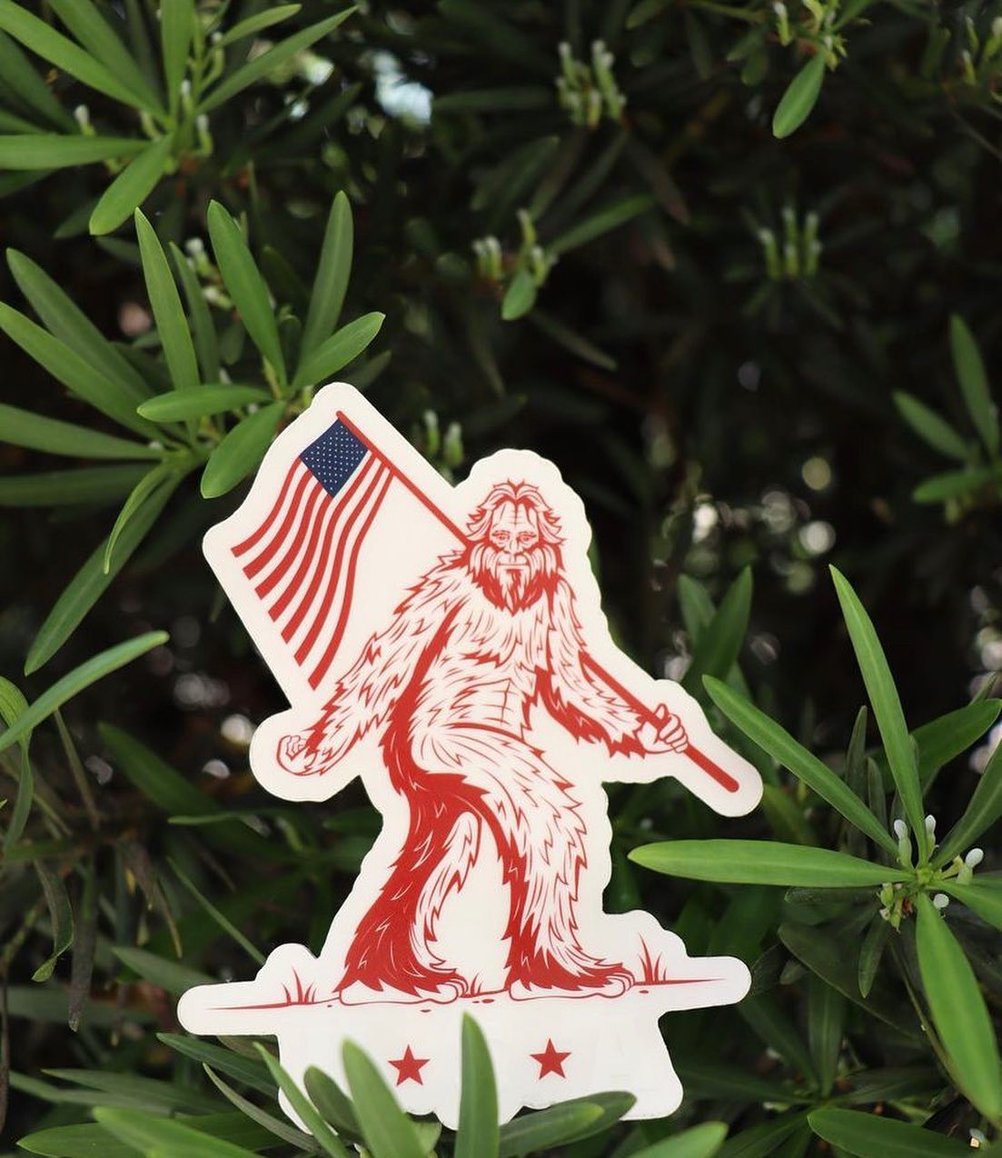 Patriotic Sasquatch