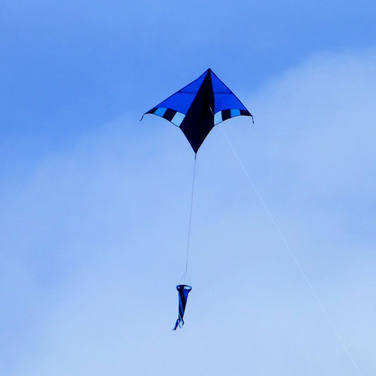 In the Breeze Cool Breeze 60" Delta