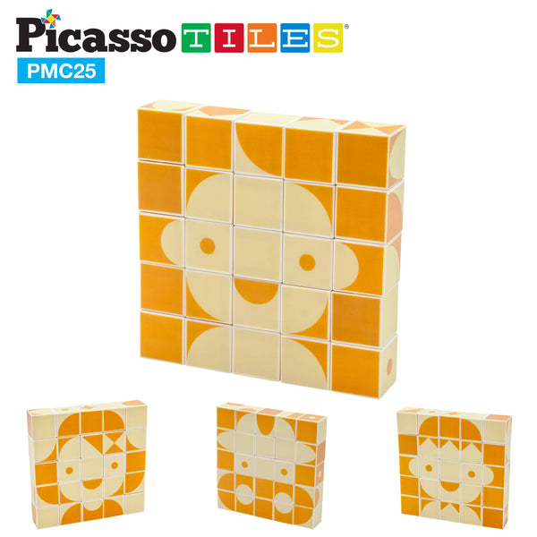 Mix and Match 25 Piece Magnetic Puzzle Cube Set