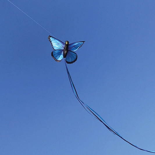 In the Breeze Blue Morpho Butterfly Kite