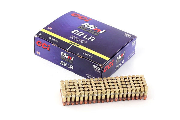 22 LR Mini Mag CPHP 36 Grain