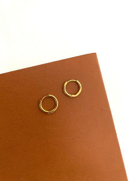 Victoire Collection  Mini Stainless Steel Hoop Earrings