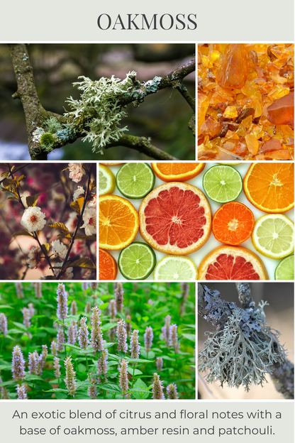 Eco Candle Company - 6oz eco candle OAKMOSS