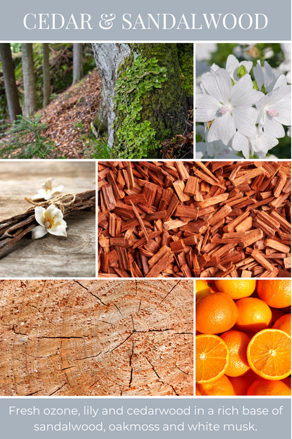 Eco Candle Company - 6oz eco candle CEDAR & SANDALWOOD *NEW!