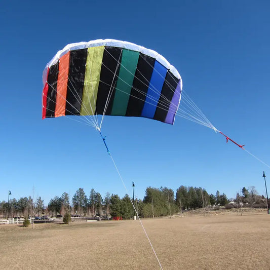 In the Breeze 50" Sport Air Foil