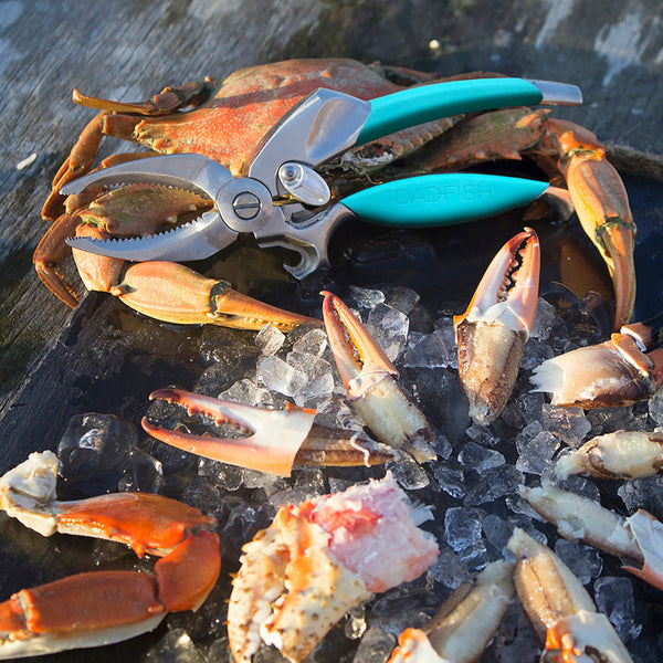 Toadfish Crab and Lobster Cutter