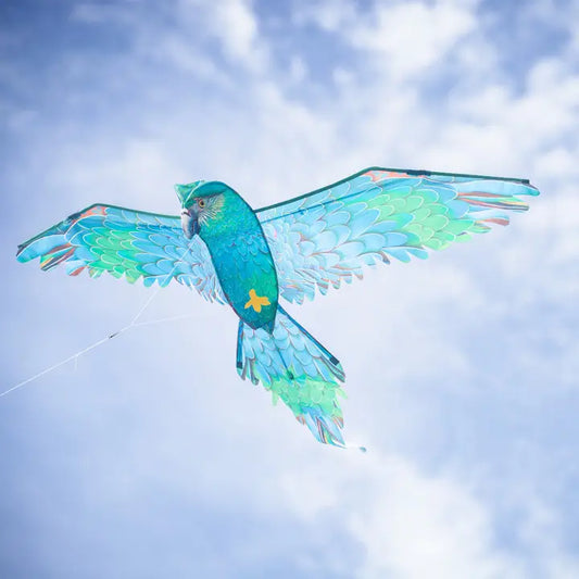 In the Breeze 3D Blue Parrot Kite