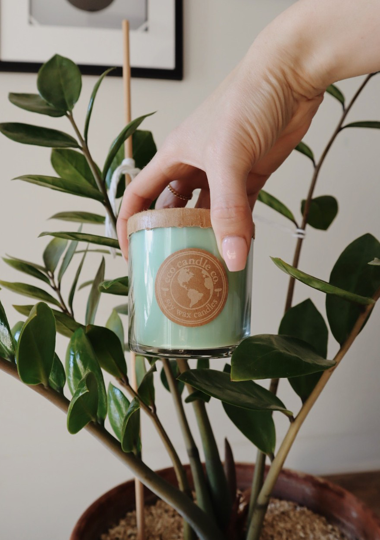 Eco Candle Company - 6oz eco candle SEAGRASS