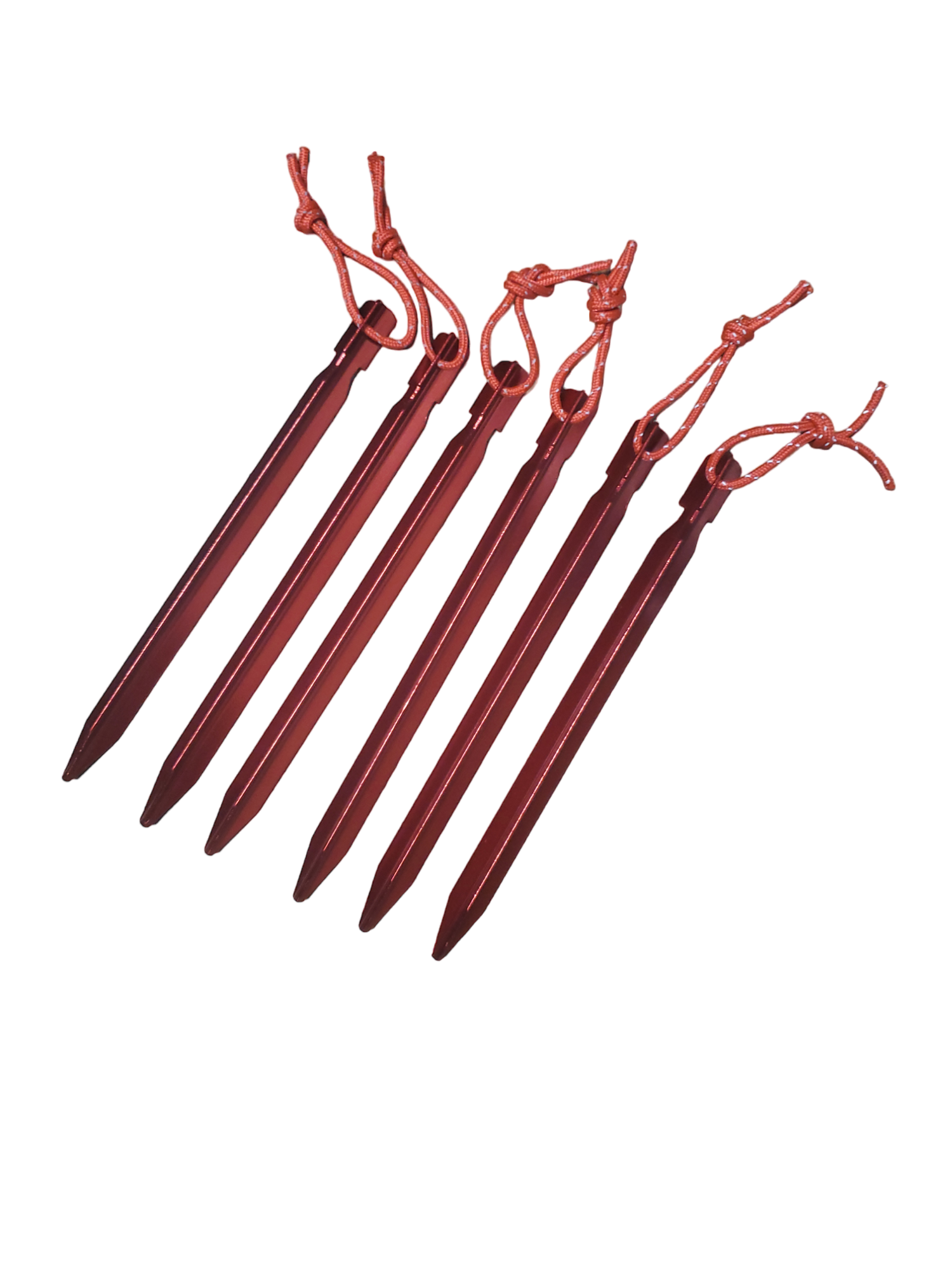 RBO Armadillo Tent Stake - 6 Pack