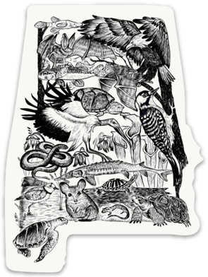 Alabama Endangered Species Sticker