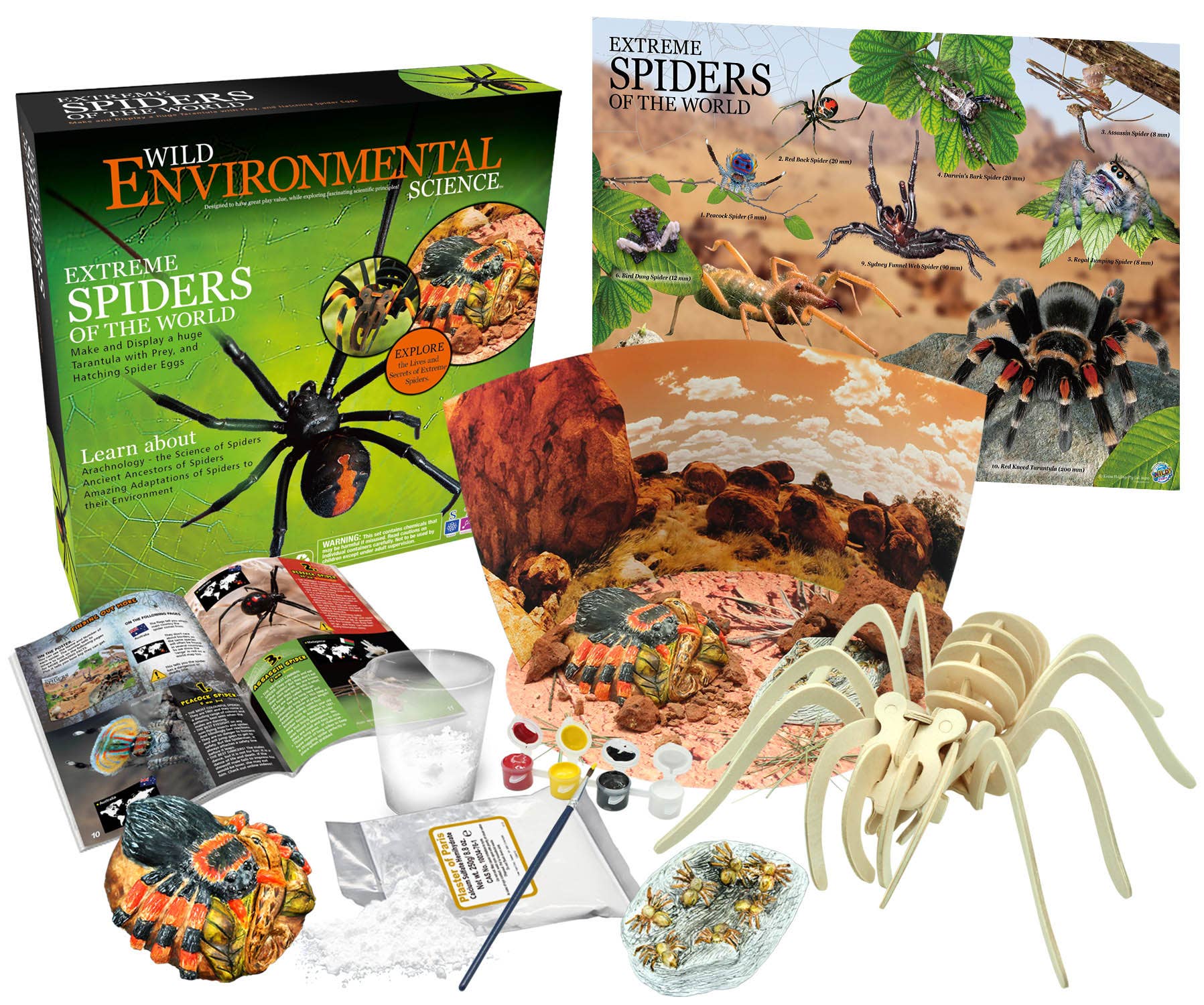 Wild Enviromental Science: Extreme Spiders of the World