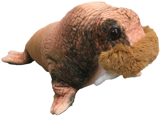 Texas Toy Distribution - 16" Walrus Plush